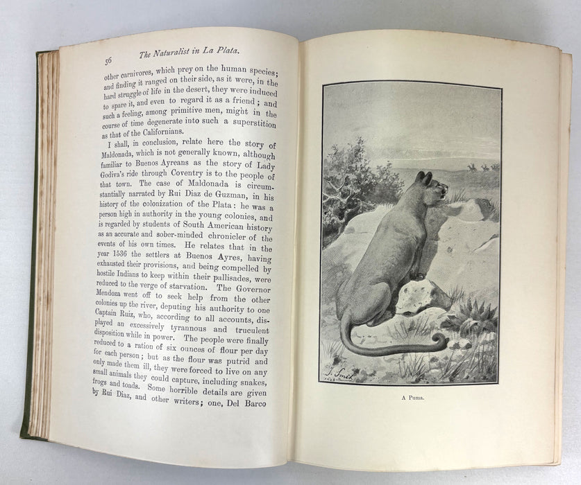 The Naturalist in La Plata, W. H. Hudson, 1912