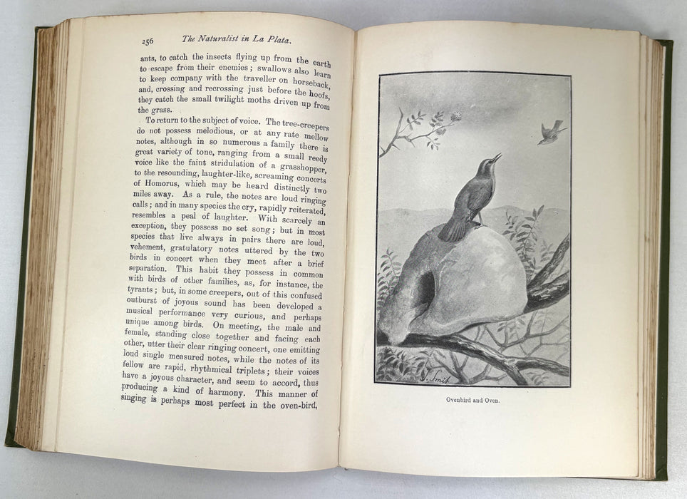 The Naturalist in La Plata, W. H. Hudson, 1912