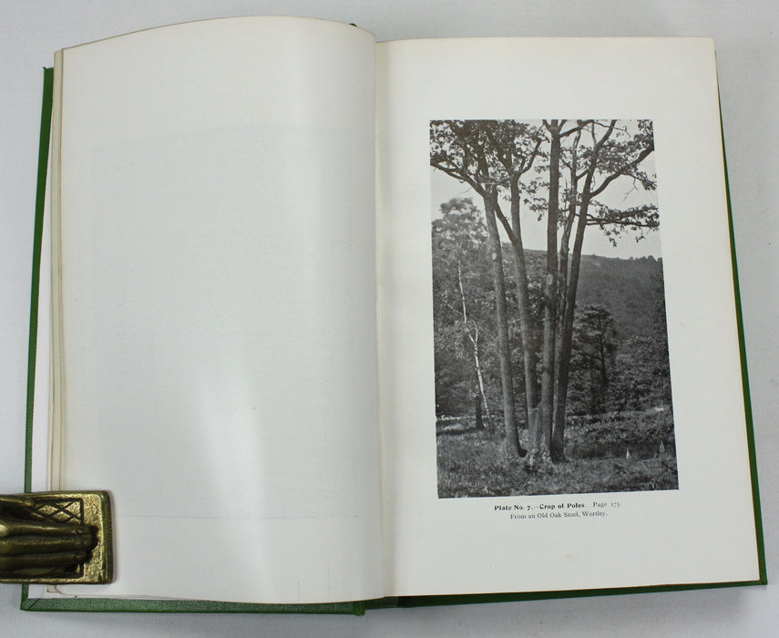 The New Forestry, or the Continental System Adapted to British Woodlands and Game Preservation, John Simpson, 1903
