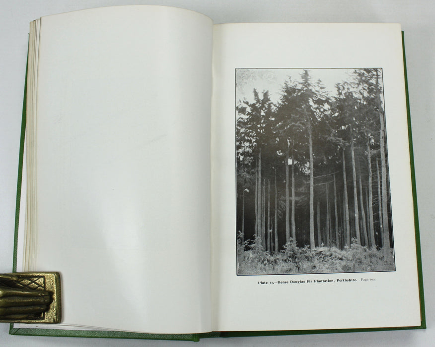The New Forestry, or the Continental System Adapted to British Woodlands and Game Preservation, John Simpson, 1903