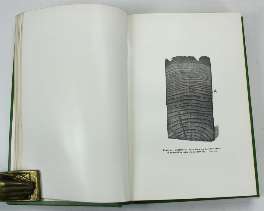 The New Forestry, or the Continental System Adapted to British Woodlands and Game Preservation, John Simpson, 1903