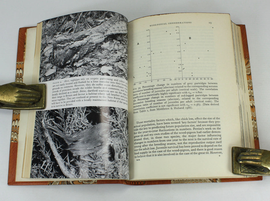 The New Naturalist; Man and Birds, R.K. Murton, 1973