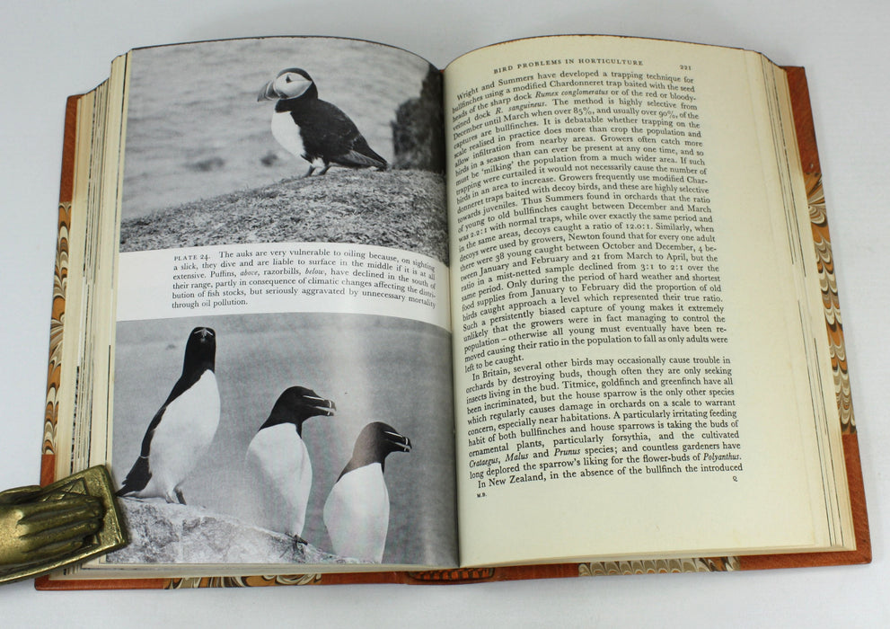 The New Naturalist; Man and Birds, R.K. Murton, 1973