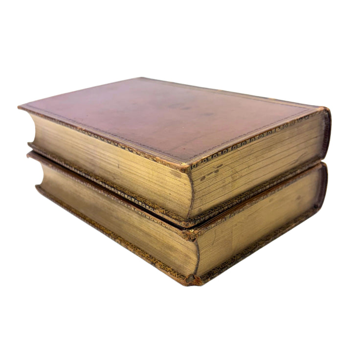 The Orlando Furioso, Translated into English Verse, from the Italian of Ludovico Ariosto, with Notes by William Stewart Rose, 1880