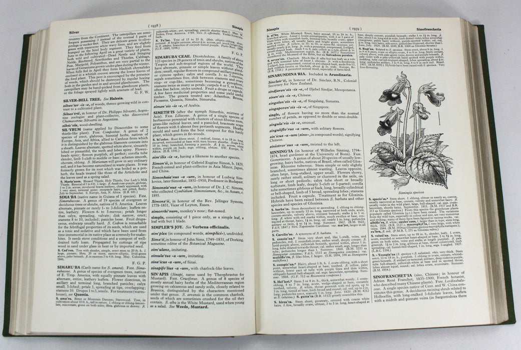 The Royal Horticultural Society Dictionary of Gardening, Fred J. Chittenden, Oxford, at the Clarendon Press, 1951, 4 Vols.