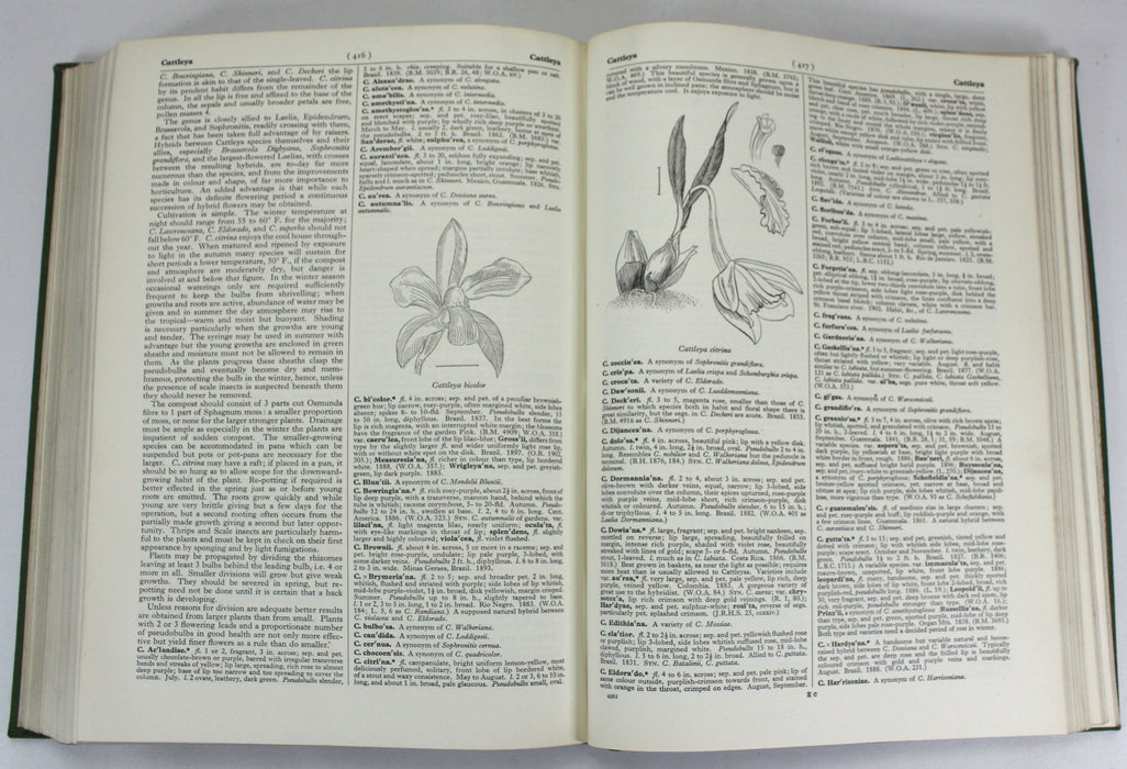 The Royal Horticultural Society Dictionary of Gardening, Fred J. Chittenden, Oxford, at the Clarendon Press, 1951, 4 Vols.