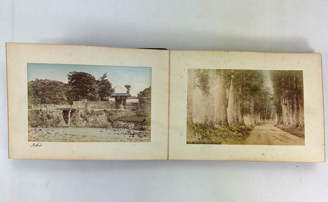 Vintage 19th Century Japanese Photo Album with 50 Hand Tinted Albumen Prints, 14cm x 9cm