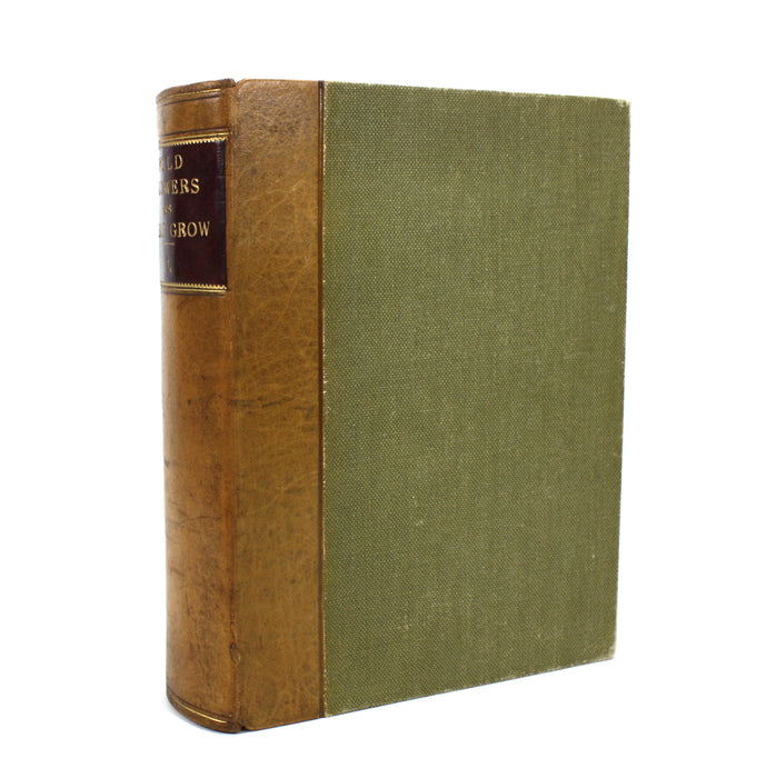 Wild Flowers as they Grow, H. Essenhigh Corke, G. Clarke Nuttall, 1912