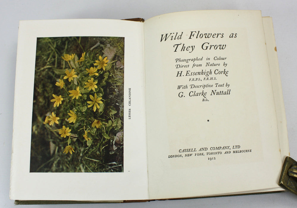 Wild Flowers as they Grow, H. Essenhigh Corke, G. Clarke Nuttall, 1912