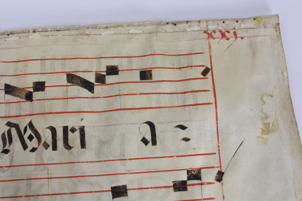 Original Antique Vellum Antiphonary Music Sheet, circa 16th Century, Item C