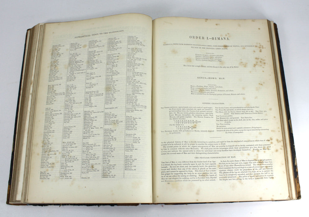 The Edinburgh Journal of Natural History, The Animal Kingdom of Baron Cuvier, 1835-1839, William Macgillivray