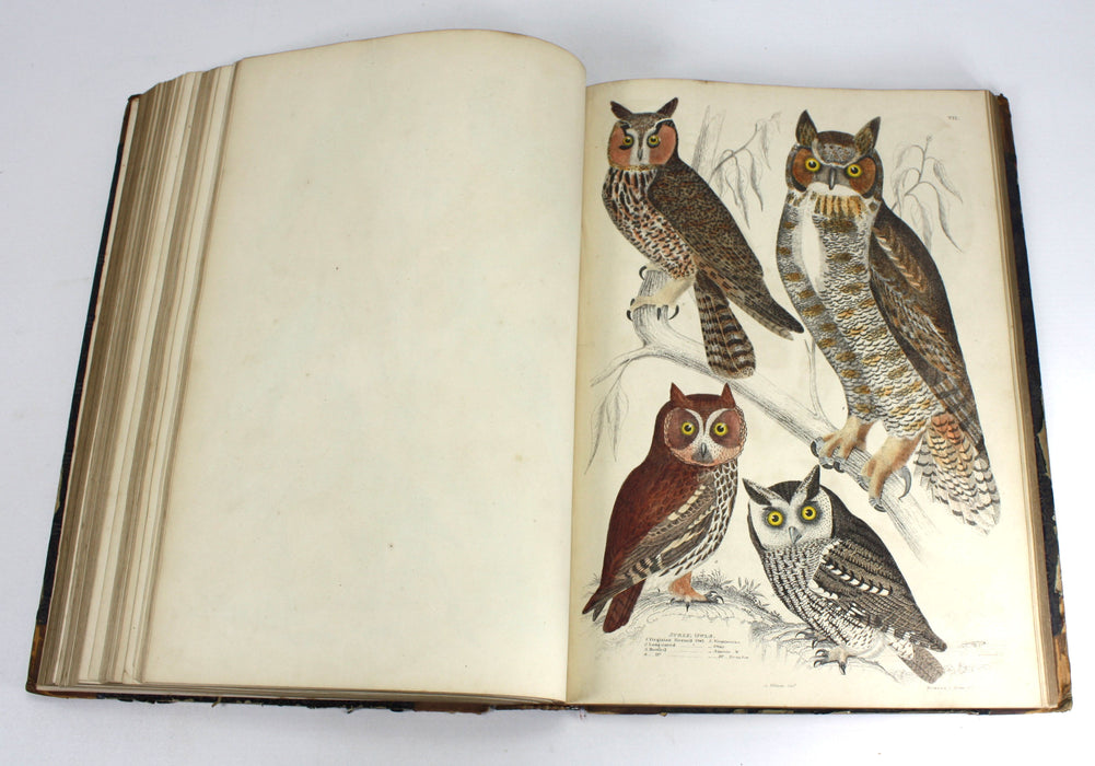 The Edinburgh Journal of Natural History, The Animal Kingdom of Baron Cuvier, 1835-1839, William Macgillivray