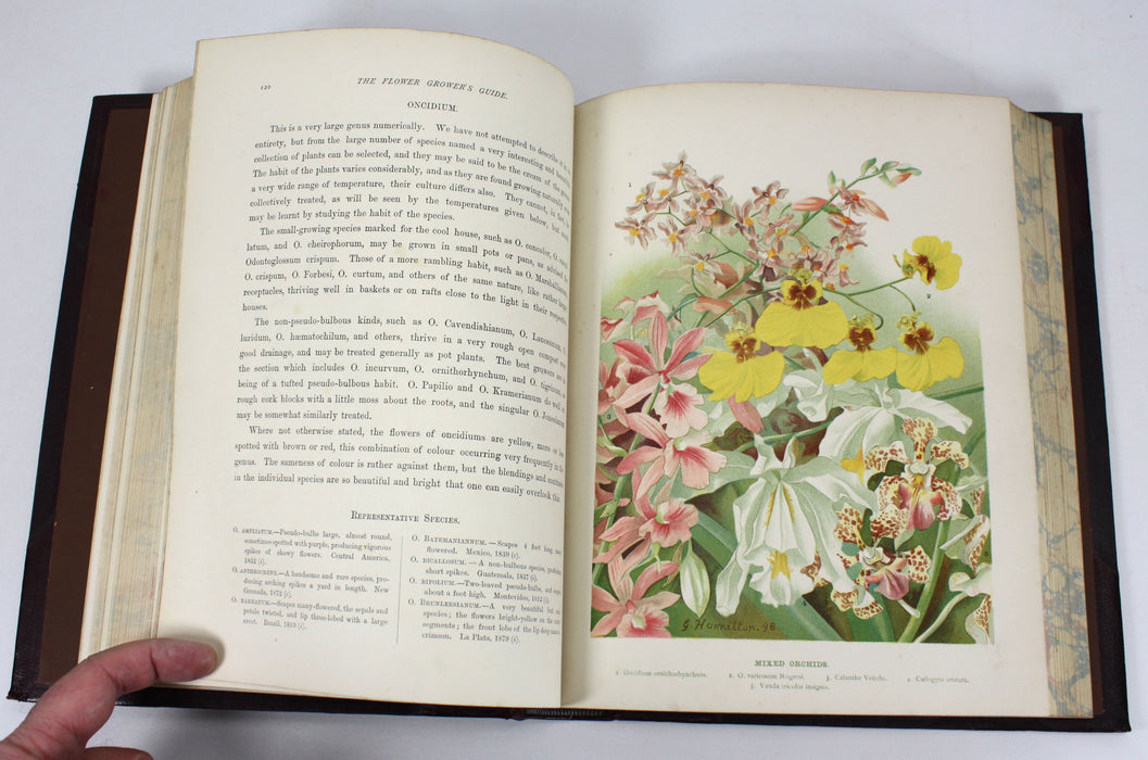 The Flower Grower's Guide, John Wright, 3 volumes complete, 1897