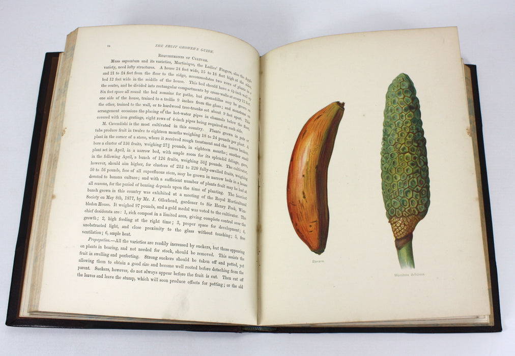 The Fruit Grower's Guide, John Wright, 2 volumes, 1892