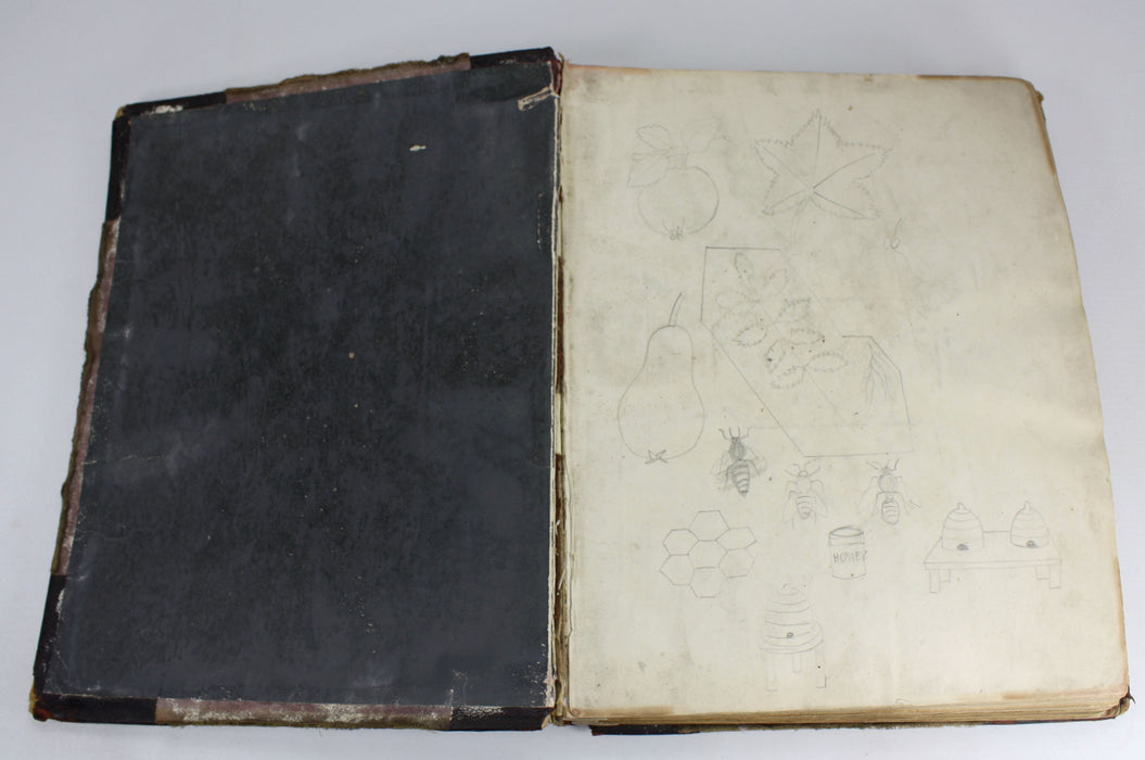 Unique Handmade Manuscript Craft Techniques Teaching Book, Victorian era