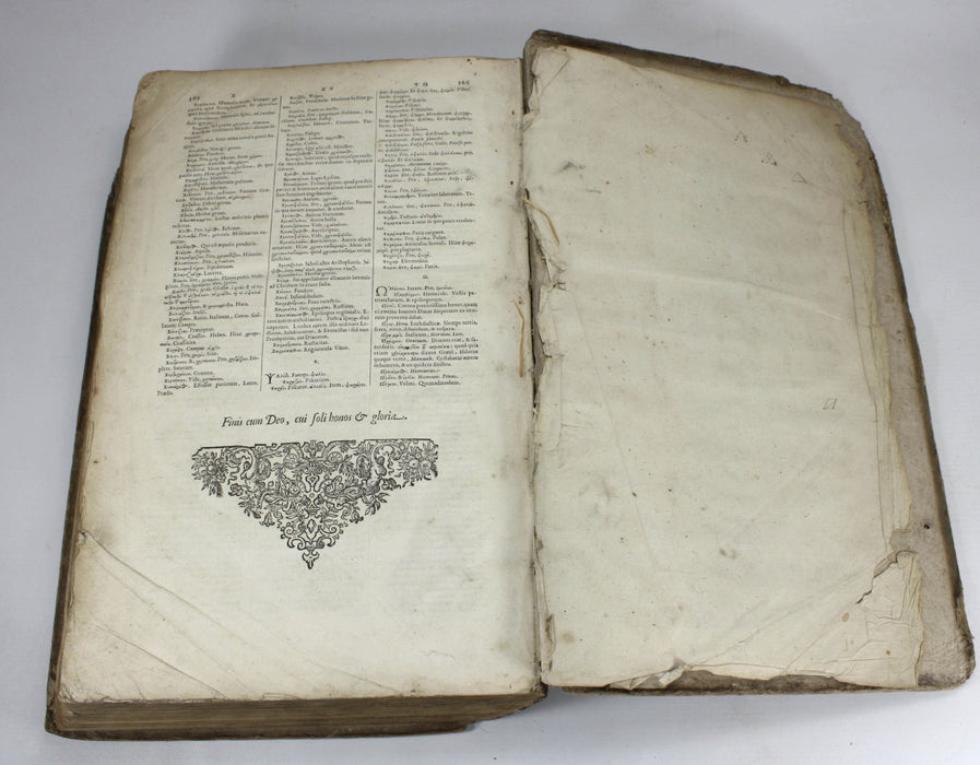 Ioan Scapulae; Lexicon Graeco-Latinum, Johannem Blaeuw and Ludovicum Elzevirium, 1652