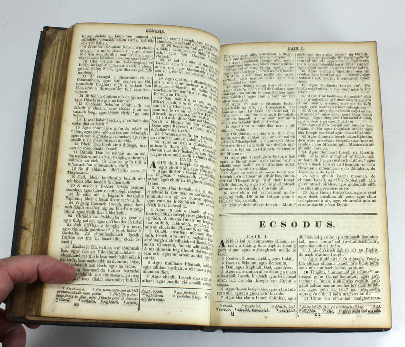 Gaelic Bible - Leabhraichean an T-Seann Tiomnaidh Agus An Tiomnaidh Nuaidh, 1821