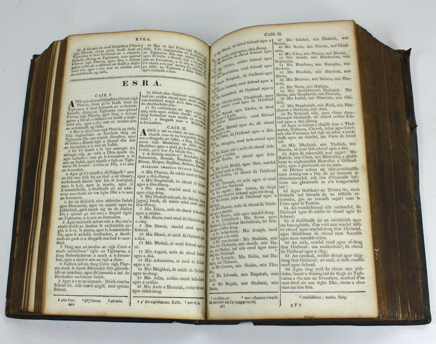 Gaelic Bible - Leabhraichean an T-Seann Tiomnaidh Agus An Tiomnaidh Nuaidh, 1821