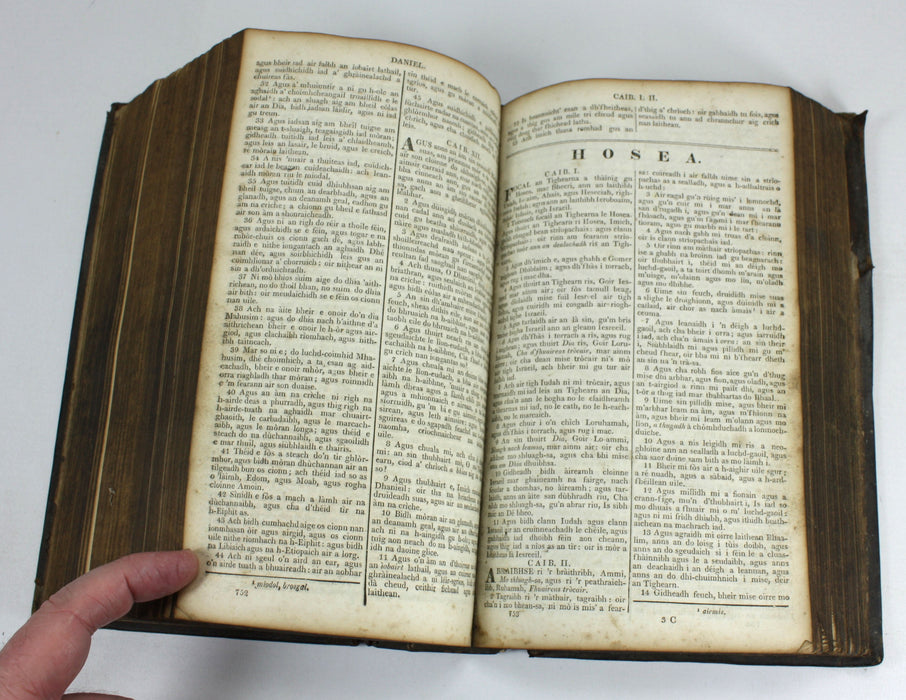 Gaelic Bible - Leabhraichean an T-Seann Tiomnaidh Agus An Tiomnaidh Nuaidh, 1821