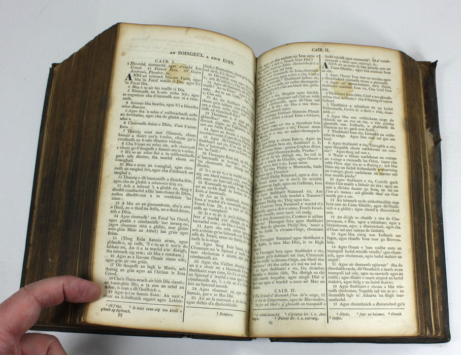 Gaelic Bible - Leabhraichean an T-Seann Tiomnaidh Agus An Tiomnaidh Nuaidh, 1821