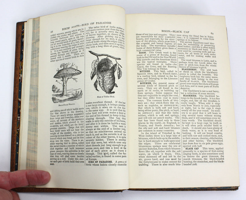 Little Cyclopaedia of Common Things, George W. Cox, 1891
