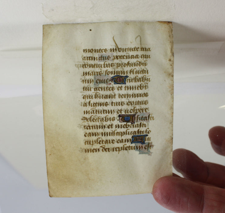 Medieval Illuminated Manuscript Leaf, 15th Century, French Breviary