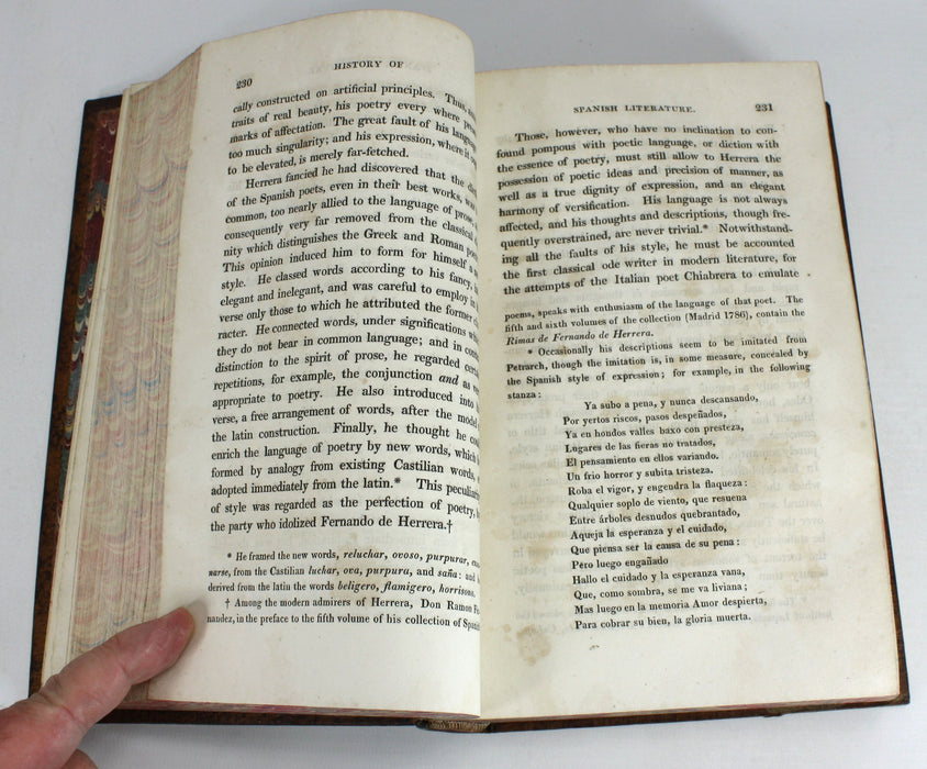 History of Spanish and Portuguese Literature by Frederick Bouterwek, trans. Thomasina Ross, 1823 first edition.