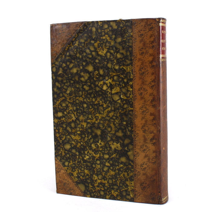 Waterloo, Suite du Conscrit de 1813, Erckmann-Chatrian, c. 1870