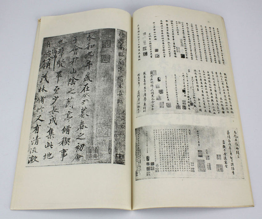 Collection of Calligraphy by Wang Xi Zhi, 王羲之, 1971, 2 Volume Set