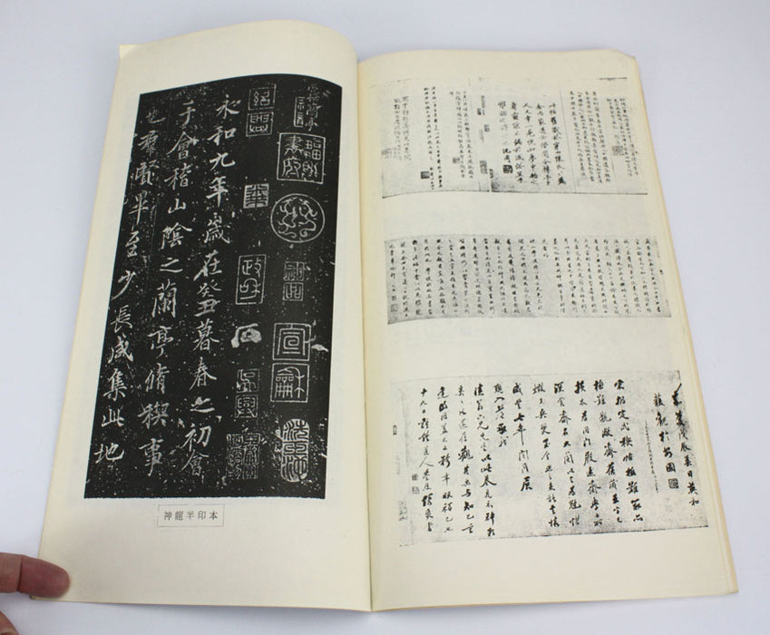 Collection of Calligraphy by Wang Xi Zhi, 王羲之, 1971, 2 Volume Set