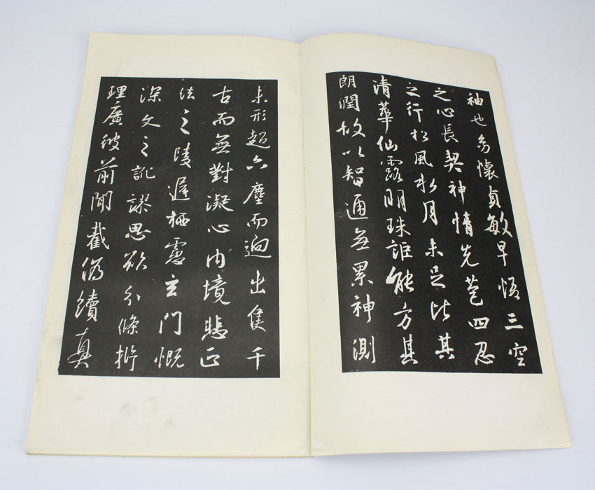 Collection of Calligraphy by Wang Xi Zhi, 王羲之, 1971, 2 Volume Set