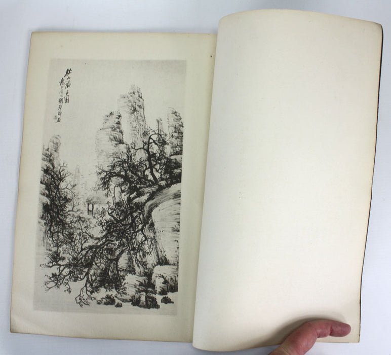 2 Volume Set of Hu Tanqing's Paintings. 胡郯卿先生畫集