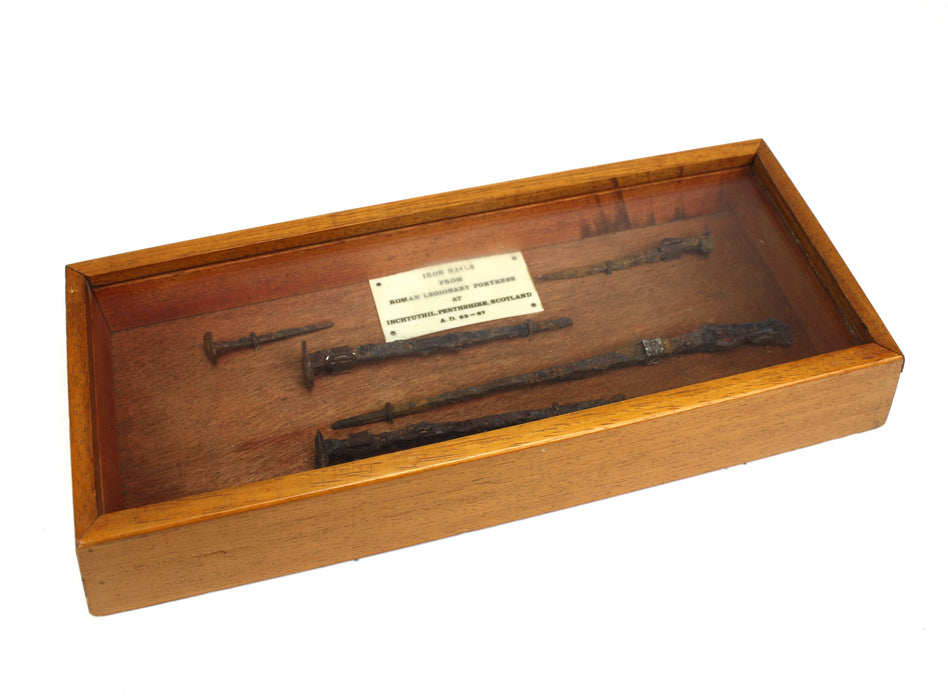 Inchtuthil Roman Nails Presentation Set, AD 83-87, plus Booklet