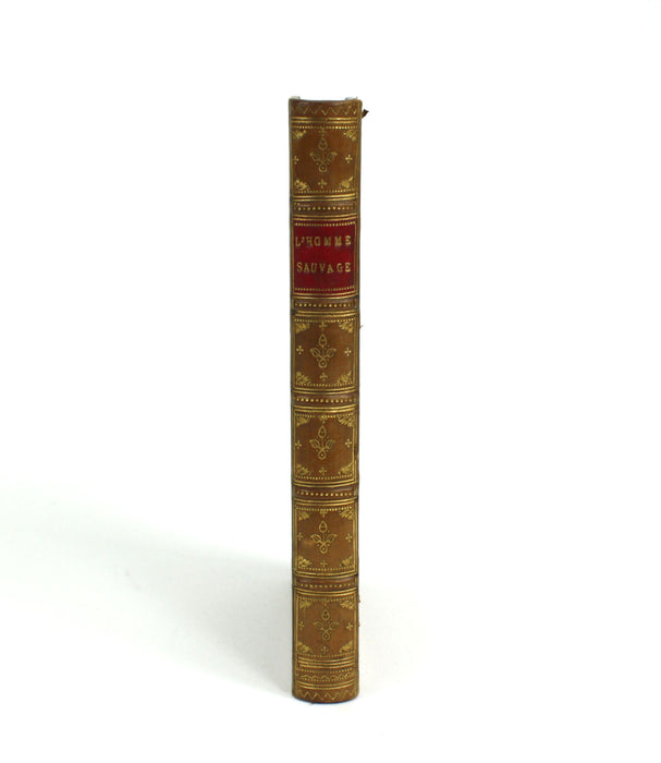L'Homme Sauvage, Ferdinand de Lonoye, 1873