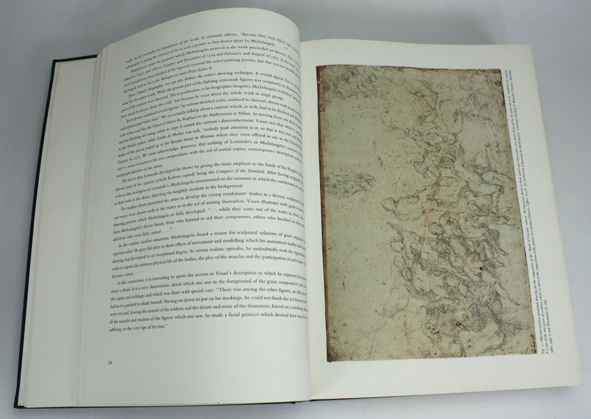 Michelangelo the Painter, Valerio Mariani