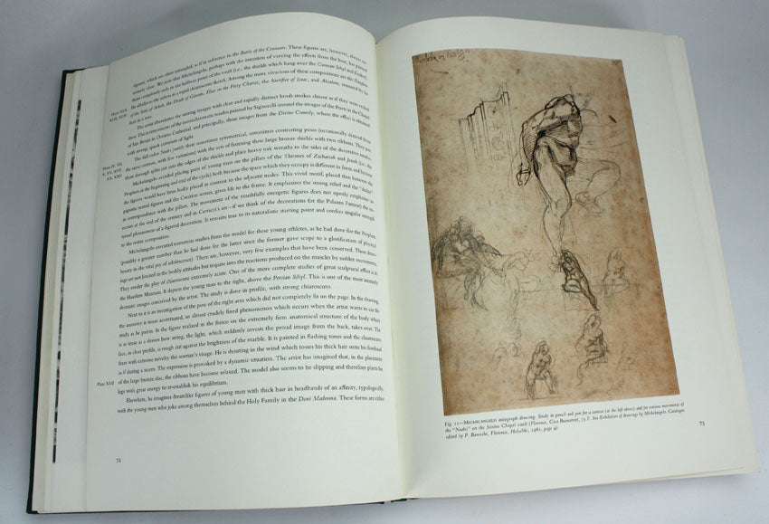 Michelangelo the Painter, Valerio Mariani