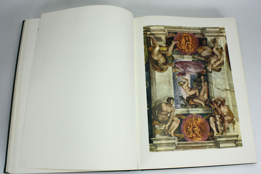 Michelangelo the Painter, Valerio Mariani