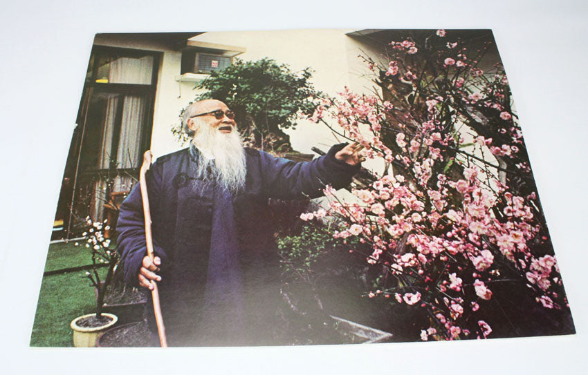 Plum Blossoms in the Garden of Zhang Daqian 摩耶精舍梅花