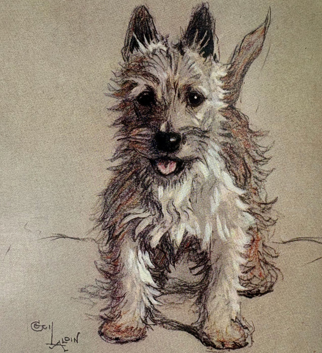 "A Dozen Dogs or So", by Patrick R. Chalmers, with Twelve Colour Plates by Cecil Aldin, 1923