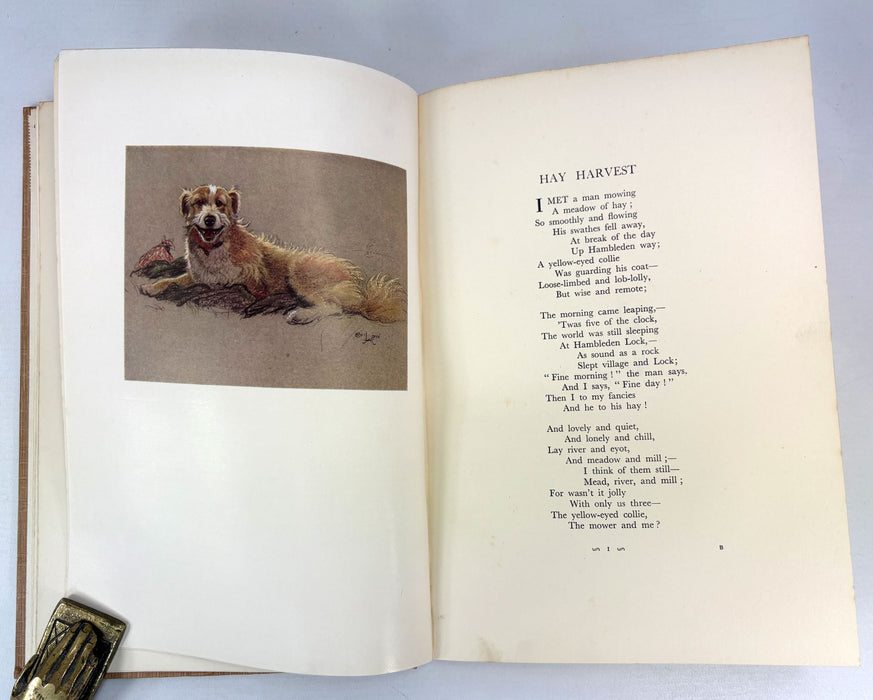 "A Dozen Dogs or So", by Patrick R. Chalmers, with Twelve Colour Plates by Cecil Aldin, 1923