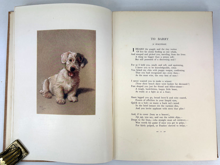 "A Dozen Dogs or So", by Patrick R. Chalmers, with Twelve Colour Plates by Cecil Aldin, 1923