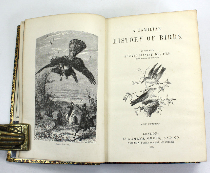 A Familiar History of Birds, Edward Stanley, 1890