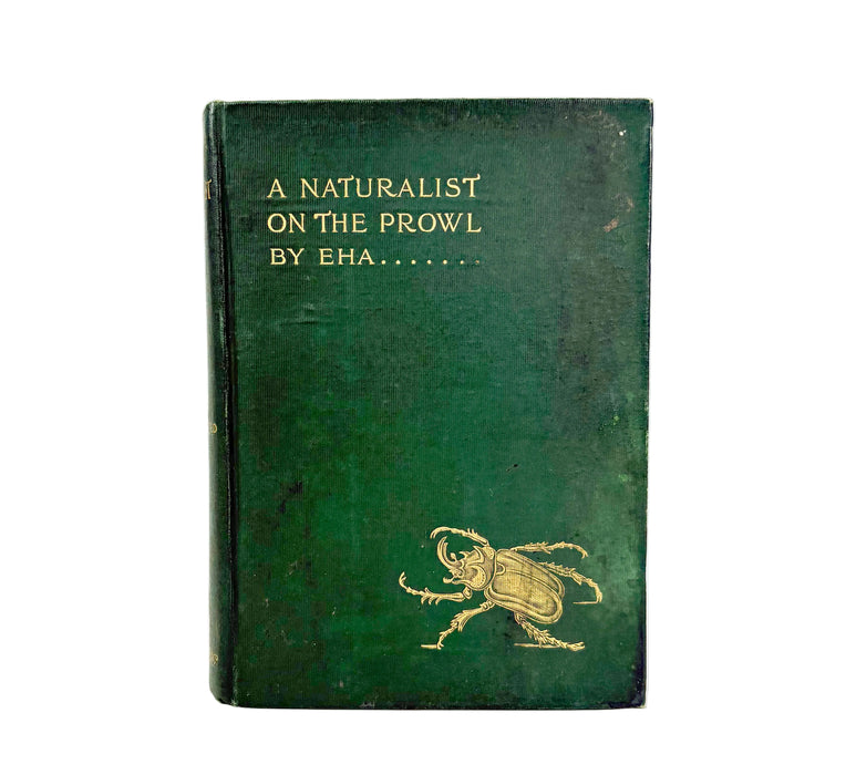 A Naturalist on the Prowl or In the Jungle, by EHA, 1897