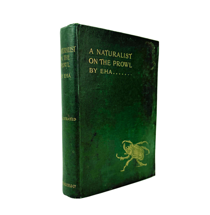 A Naturalist on the Prowl or In the Jungle, by EHA, 1897