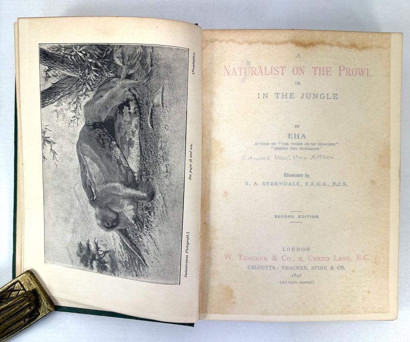 A Naturalist on the Prowl or In the Jungle, by EHA, 1897