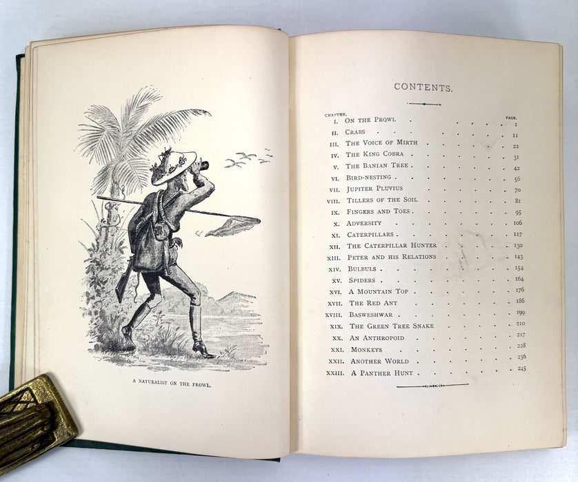 A Naturalist on the Prowl or In the Jungle, by EHA, 1897