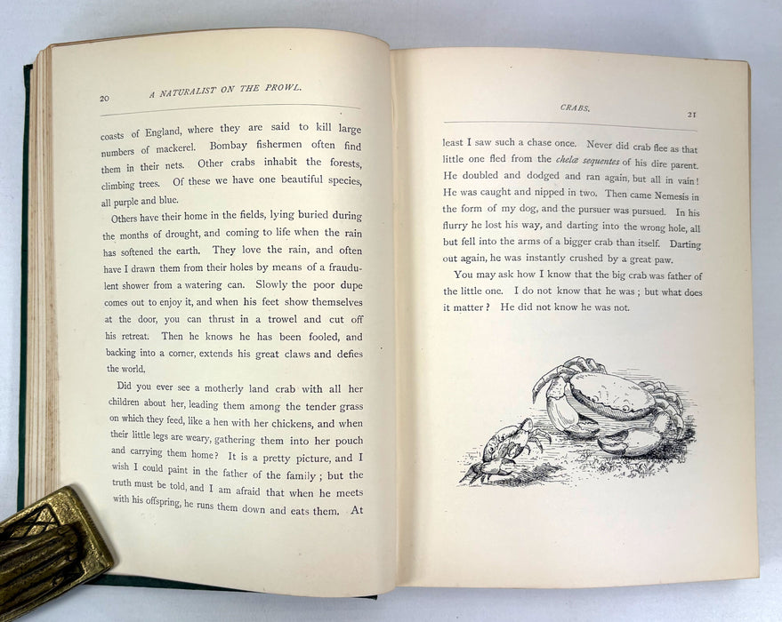 A Naturalist on the Prowl or In the Jungle, by EHA, 1897