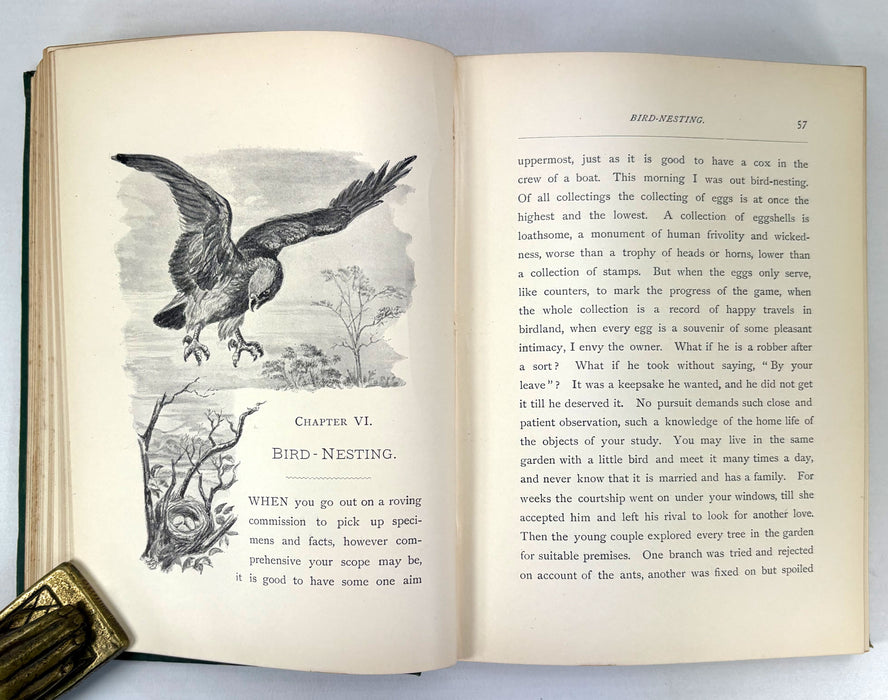 A Naturalist on the Prowl or In the Jungle, by EHA, 1897