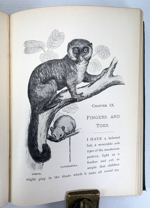 A Naturalist on the Prowl or In the Jungle, by EHA, 1897