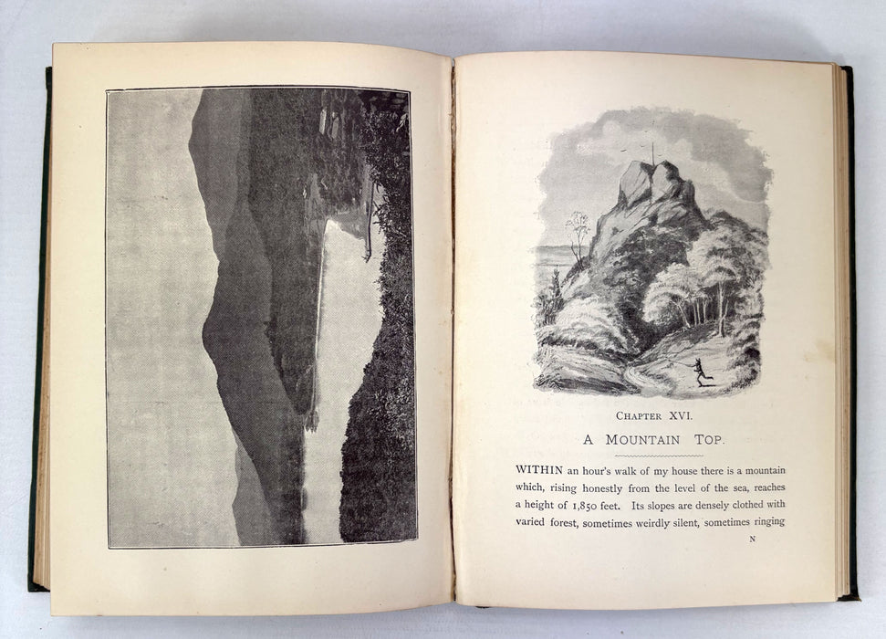 A Naturalist on the Prowl or In the Jungle, by EHA, 1897